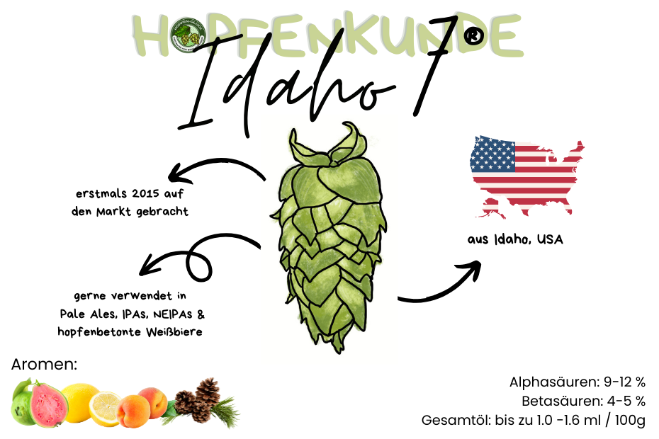 Idaho 7® Hopfen: Die Geschichte Hinter Dem Aromawunder Aus Idaho